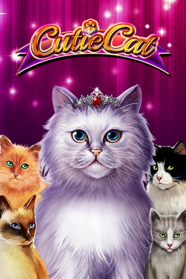 Бесплатная демо игра Cutie Cat | Джой Казино без регистрации