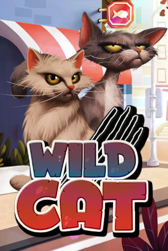 Бесплатная демо игра Wild Cat | Джой Казино без регистрации