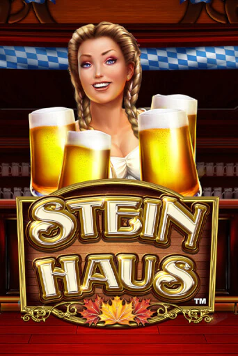 Бесплатная демо игра Stein Haus | Джой Казино без регистрации