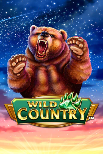 Бесплатная демо игра Wild Country | Джой Казино без регистрации